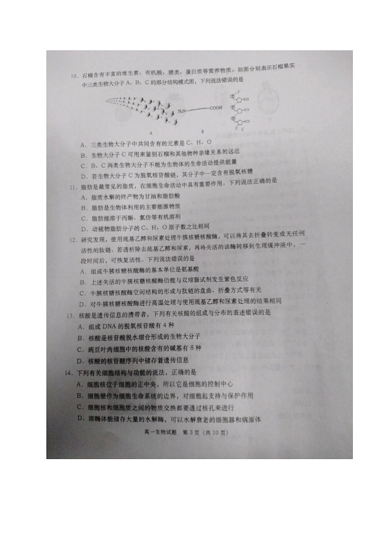 2023青岛四区县高一上学期期中考试生物试题图片版含答案03
