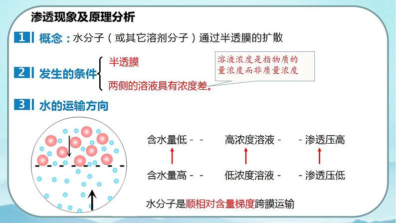 4.1 被动运输（第1课时）-高中生物 课件+练习（人教版2019 必修一）08