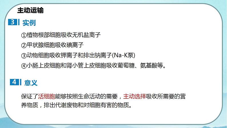 4.2 主动运输与胞吞、胞吐-高中生物 课件+练习（人教版2019 必修一）06