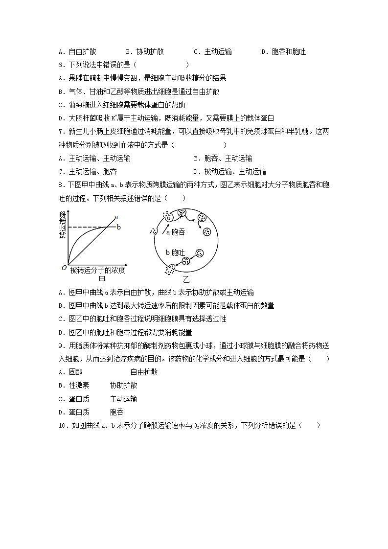 4.2 主动运输与胞吞、胞吐-高中生物 课件+练习（人教版2019 必修一）02