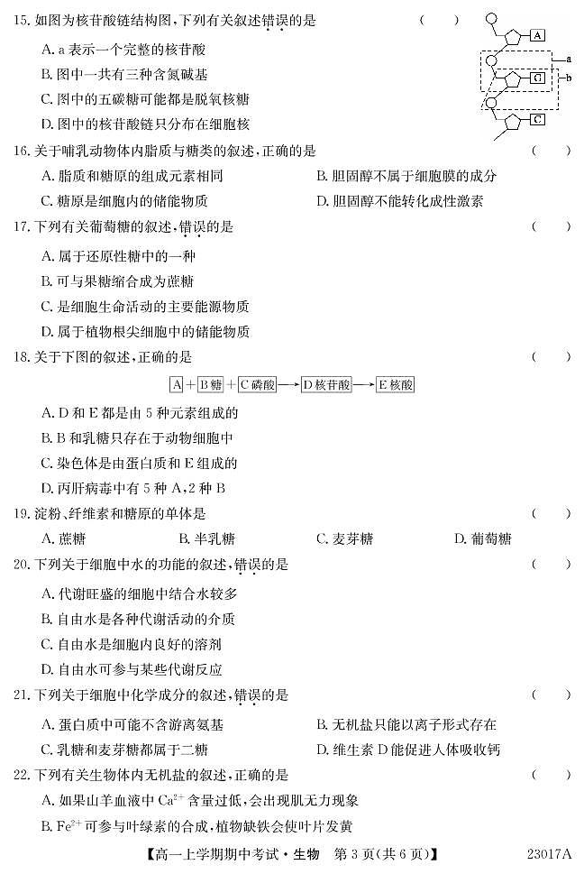 2022-2023学年广东省深圳市6校联盟高一上学期期中（11月）生物试题 PDF版第3页