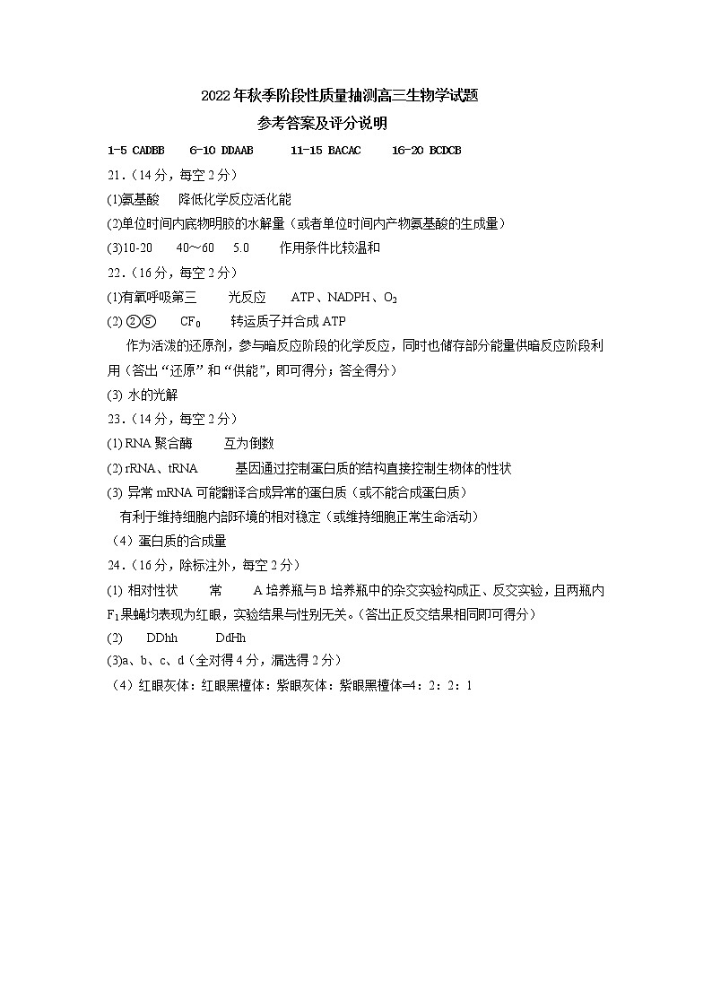 湖北省黄冈市2022-2023学年高三上学期11月期中考试 生物试题（含答案）01