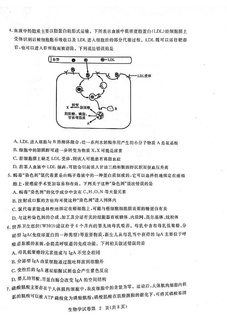 湖北省黄冈市2022-2023学年高三上学期11月期中考试 生物试题（含答案）02