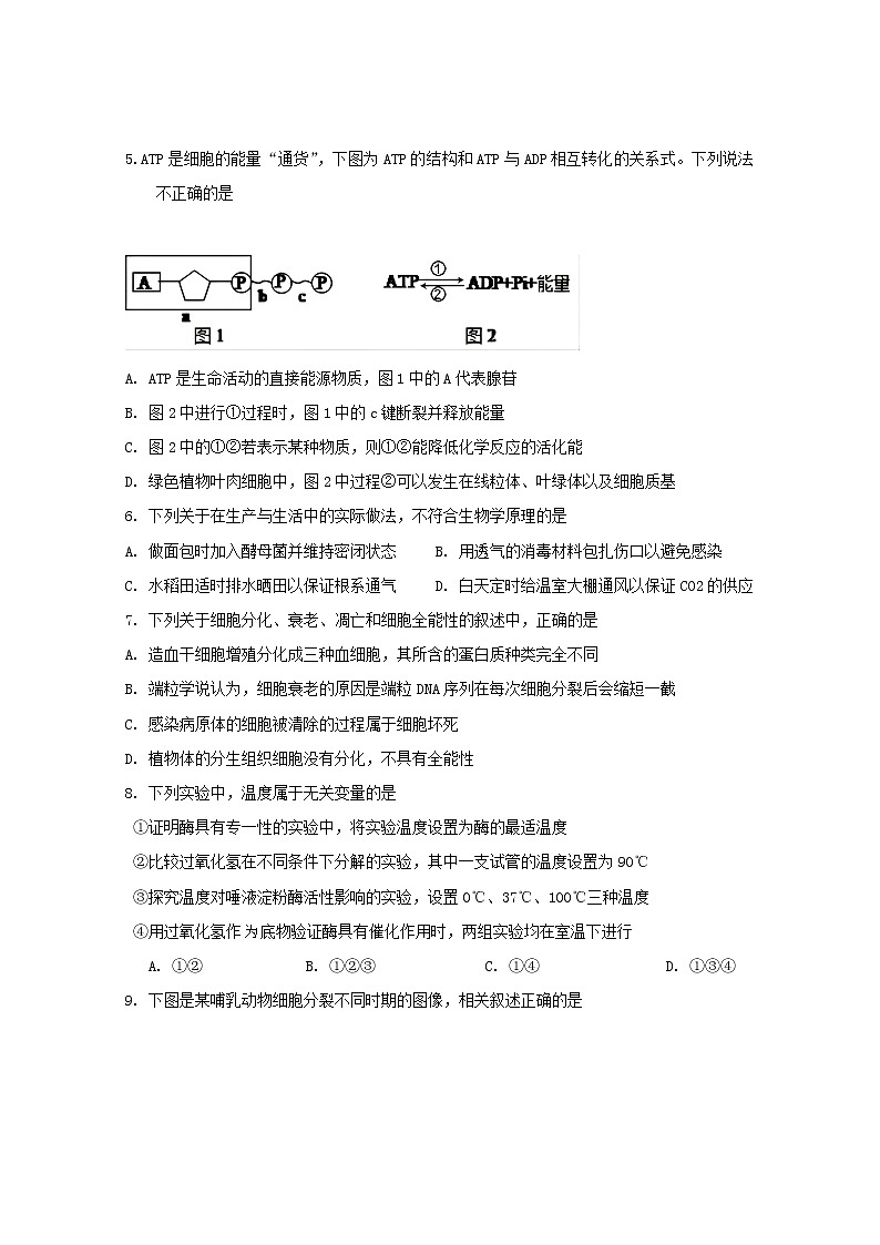 云南省玉溪市一中2022-2023学年高二上学期期中考试生物试题（Word版附答案）02