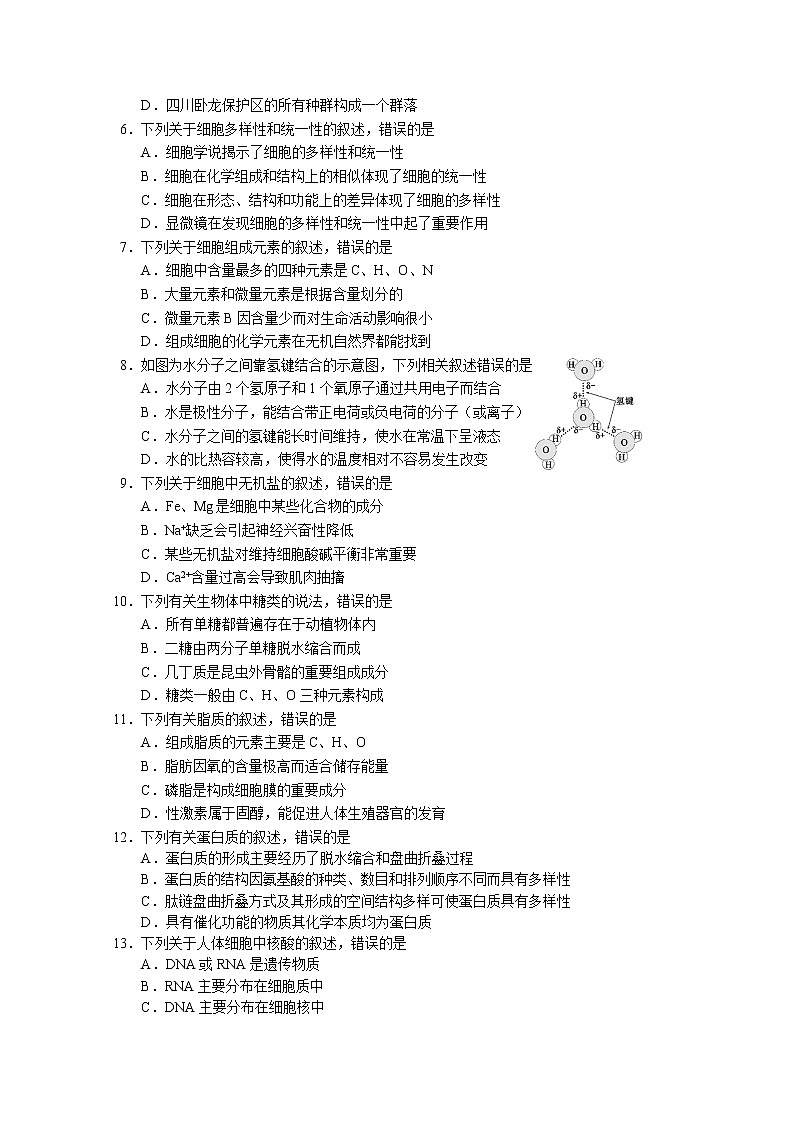 四川省成都市四县区2022-2023学年高一生物上学期期中联考试题（Word版附解析）第2页