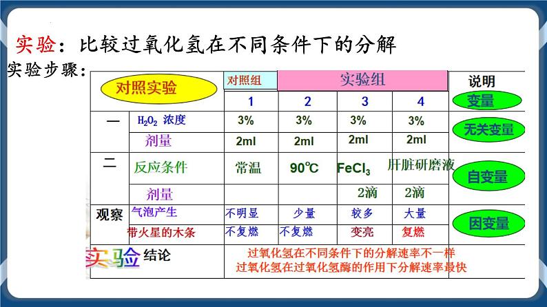 第1讲 酶与ATP 课件第7页