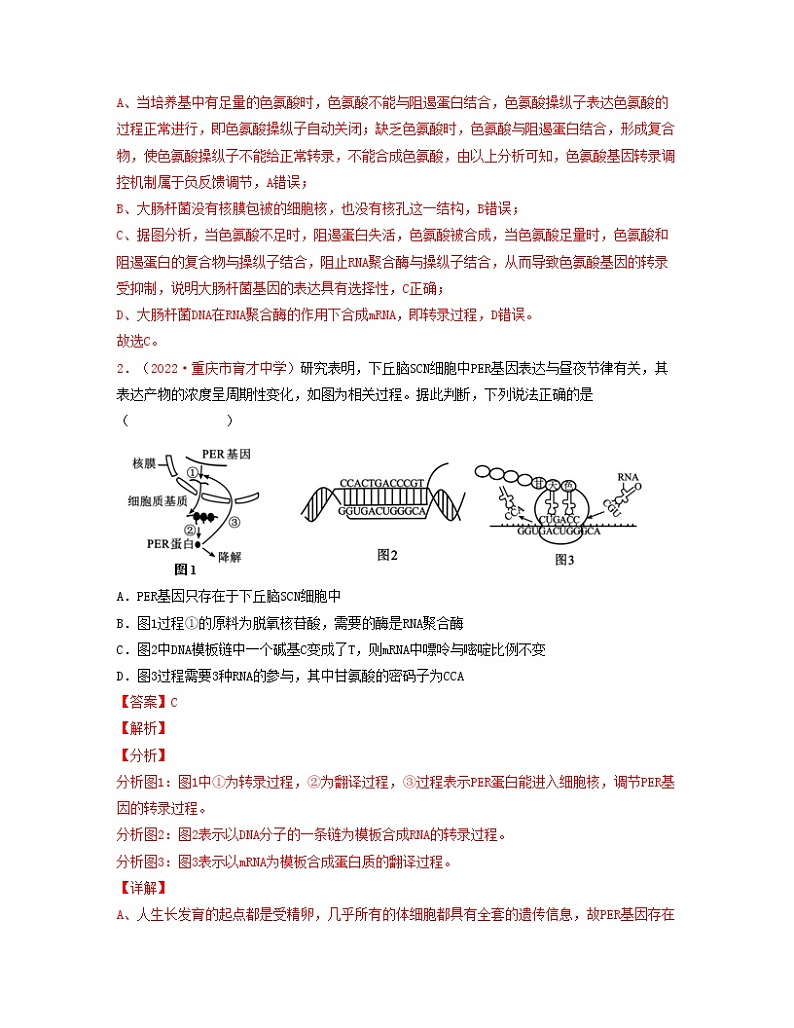 第八单元 基因的表达（解析版） 练习第2页