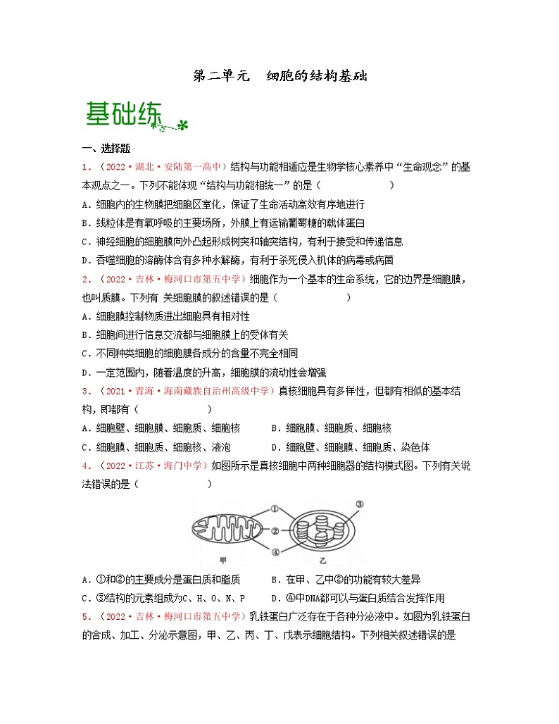 第二单元 细胞的结构基础（原卷版）练习第1页