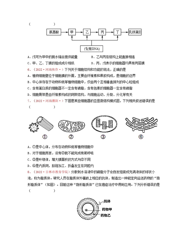 第二单元 细胞的结构基础（原卷版）练习第2页