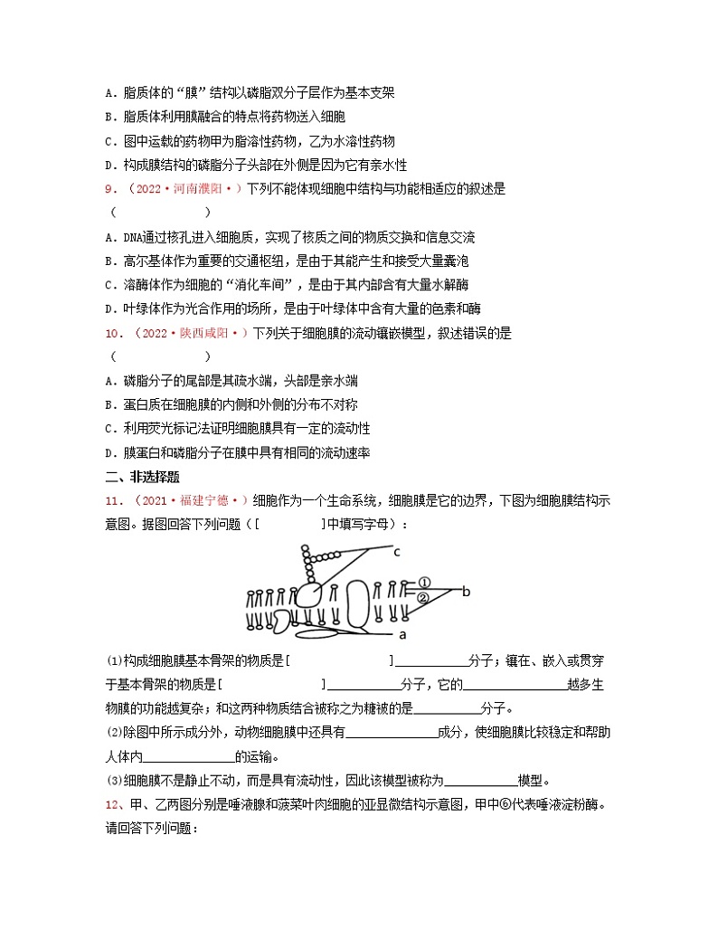 第二单元 细胞的结构基础（原卷版）练习第3页