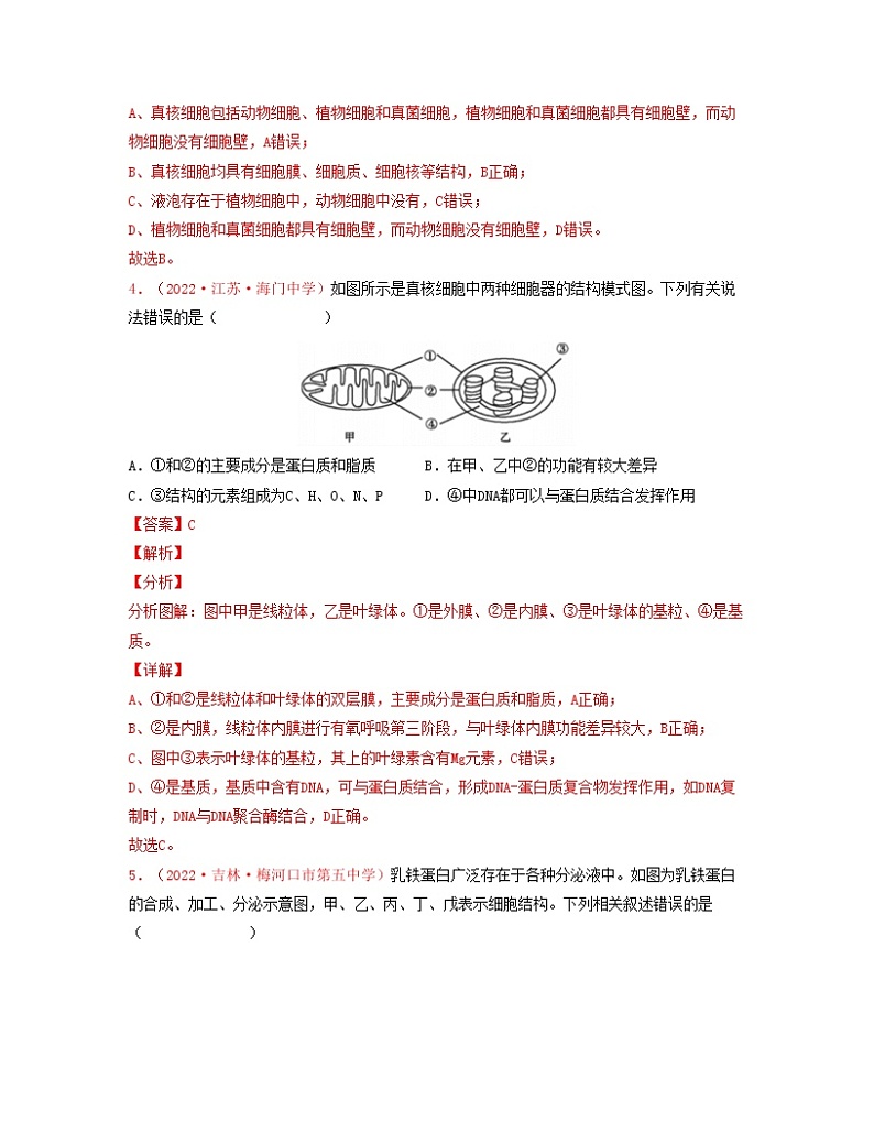 第二单元 细胞的结构基础（解析版）练习第3页