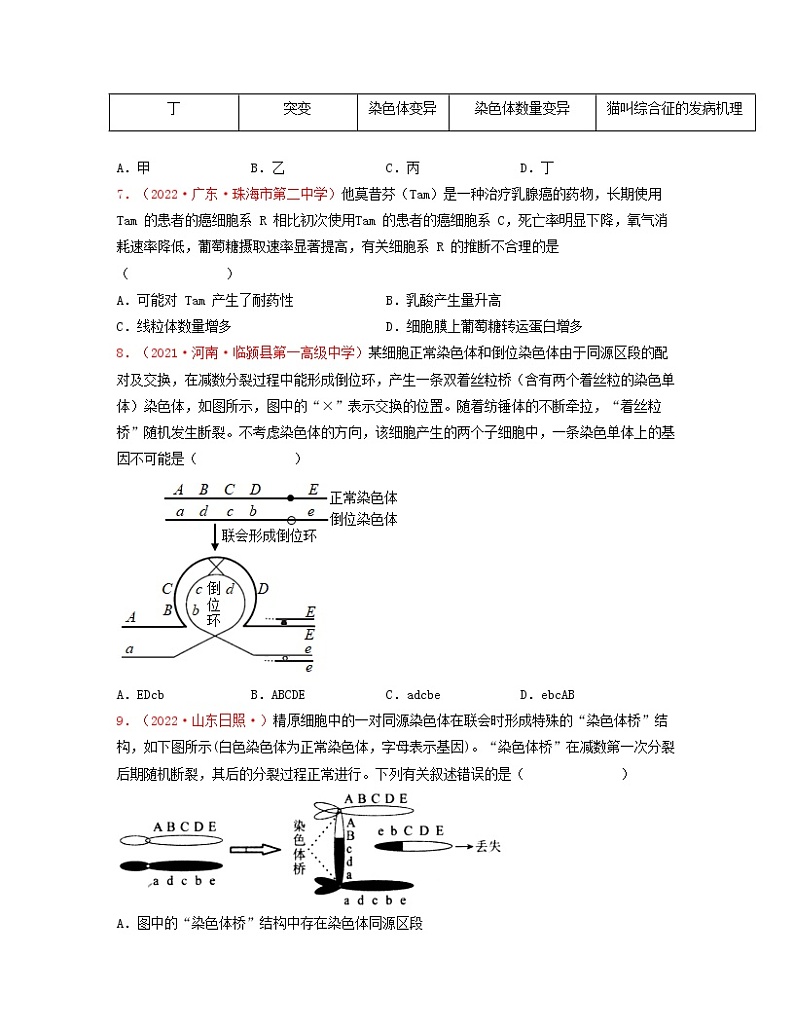 第九单元 基因突变及其他变异（原卷版）练习第3页