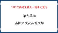 第九单元 基因突变以及其他变异 练习+课件