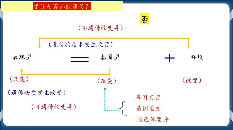 第九单元 基因突变以及其他变异 课件第3页