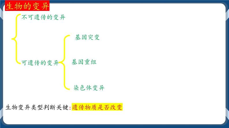 第九单元 基因突变以及其他变异 课件第4页