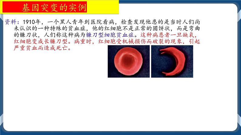 第九单元 基因突变以及其他变异 课件第5页