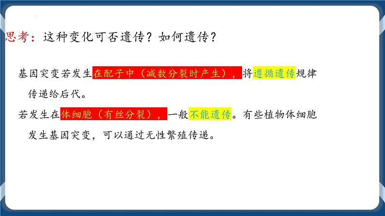 第九单元 基因突变以及其他变异 课件第8页