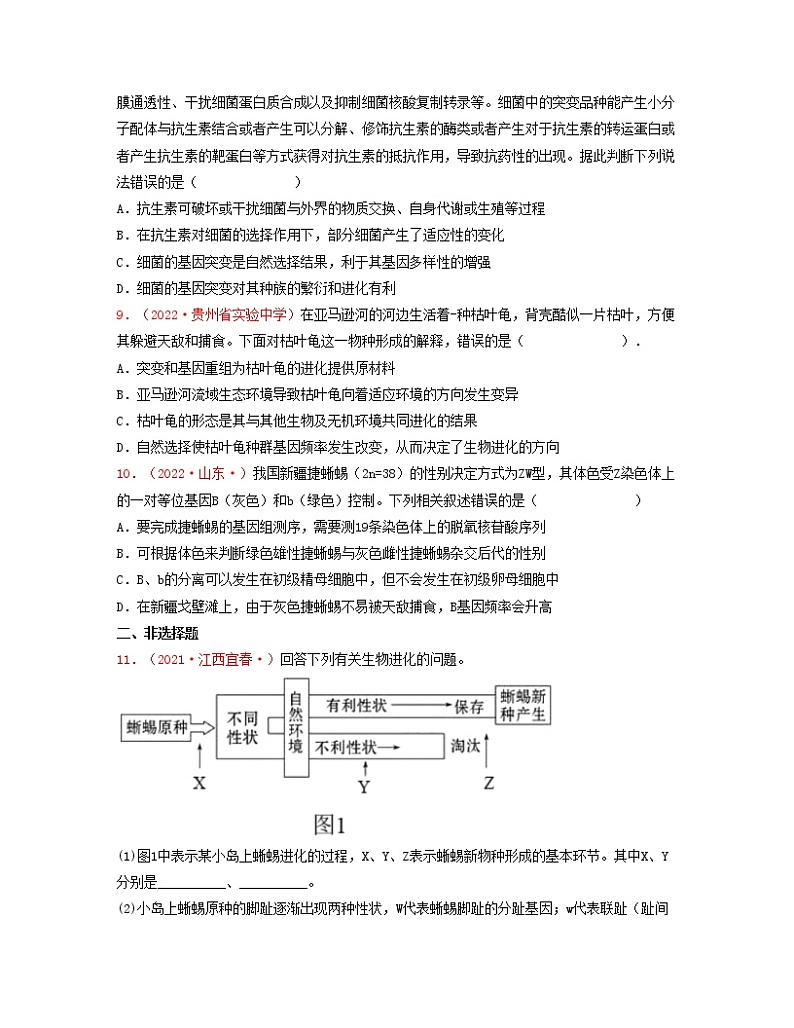 第十单元 现代生物进化理论（原卷版）练习第3页