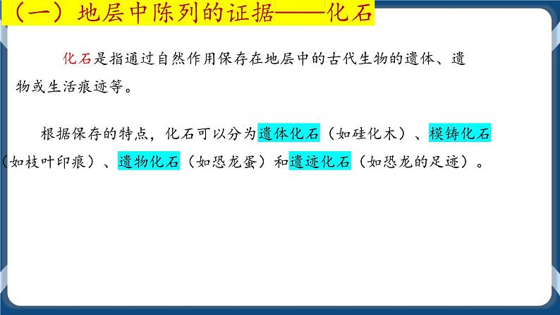 第十单元 现代生物进化理论 课件第4页