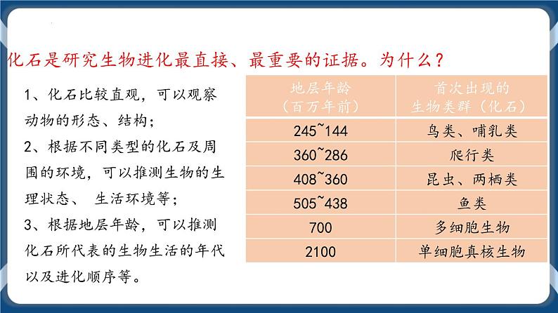 第十单元 现代生物进化理论 课件第6页