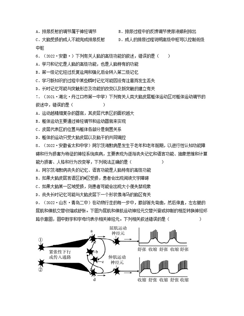 第十二单元 神经调节（原卷版）练习第2页