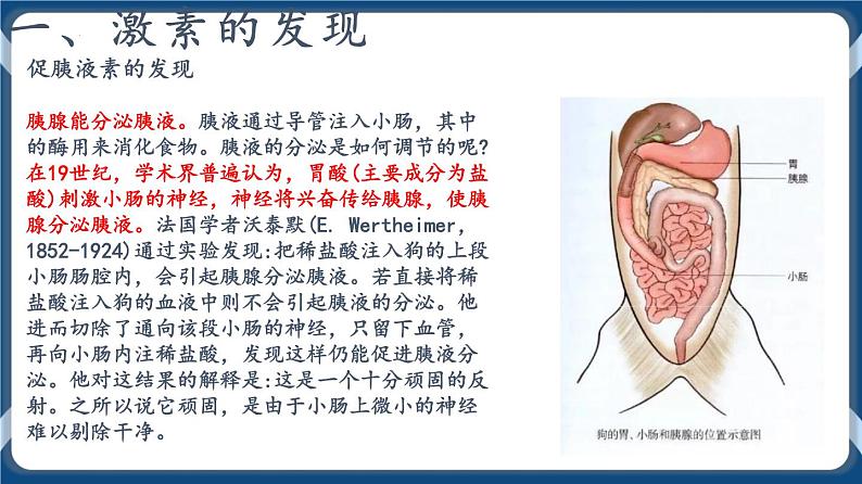 第十三单元 体液调节 课件第4页