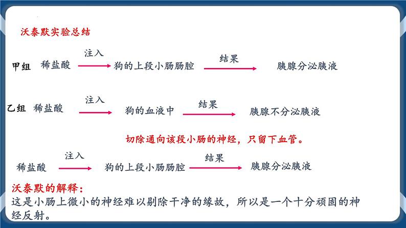 第十三单元 体液调节 课件第5页