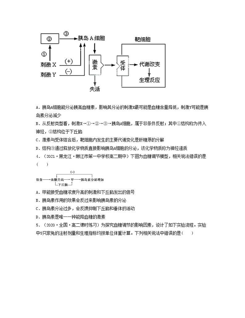 第十三单元 体液调节（原卷版）练习第2页