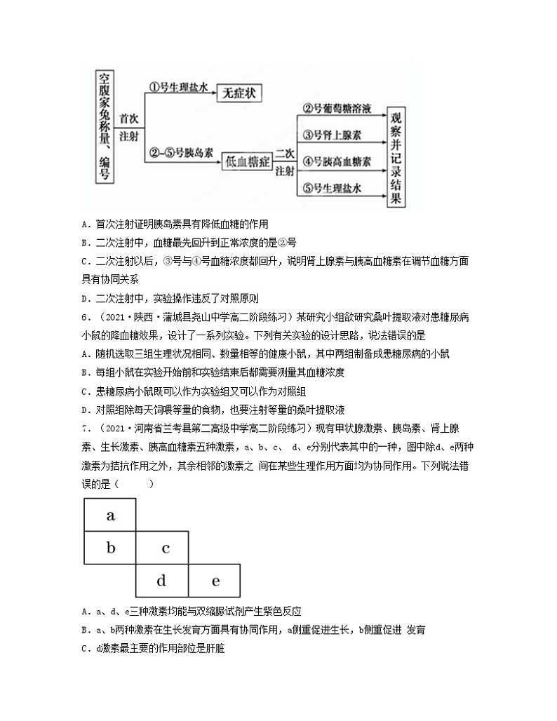 第十三单元 体液调节（原卷版）练习第3页