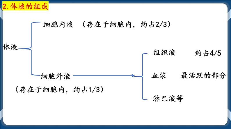 第十一单元 内环境的稳态 课件第4页