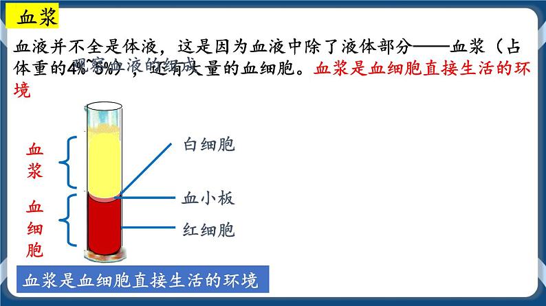 第十一单元 内环境的稳态 课件第5页