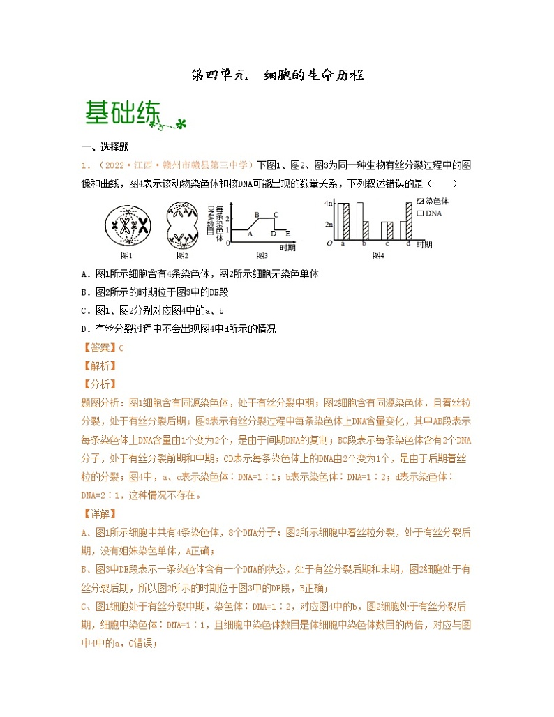 第四单元 细胞的生命历程（解析版）练习第1页