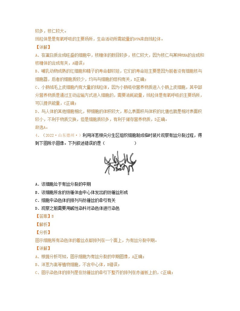 第四单元 细胞的生命历程（解析版）练习第3页
