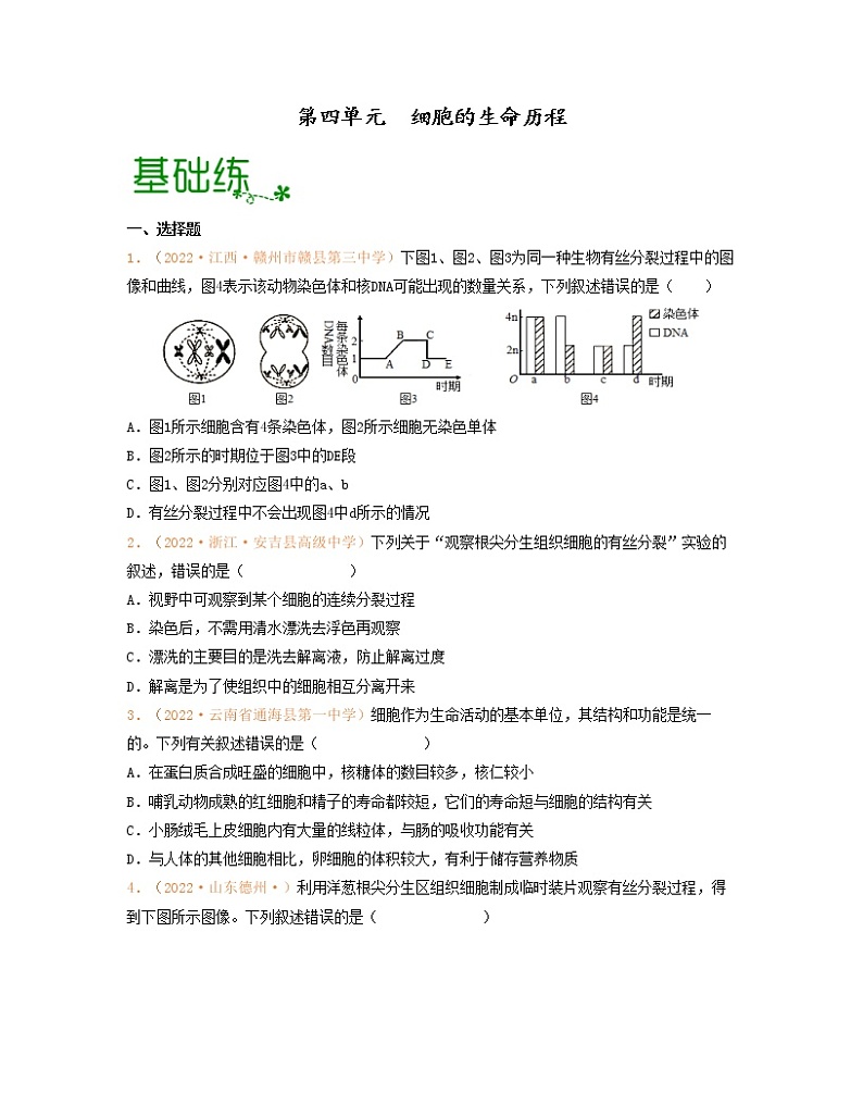 第四单元 细胞的生命历程（原卷版）练习第1页