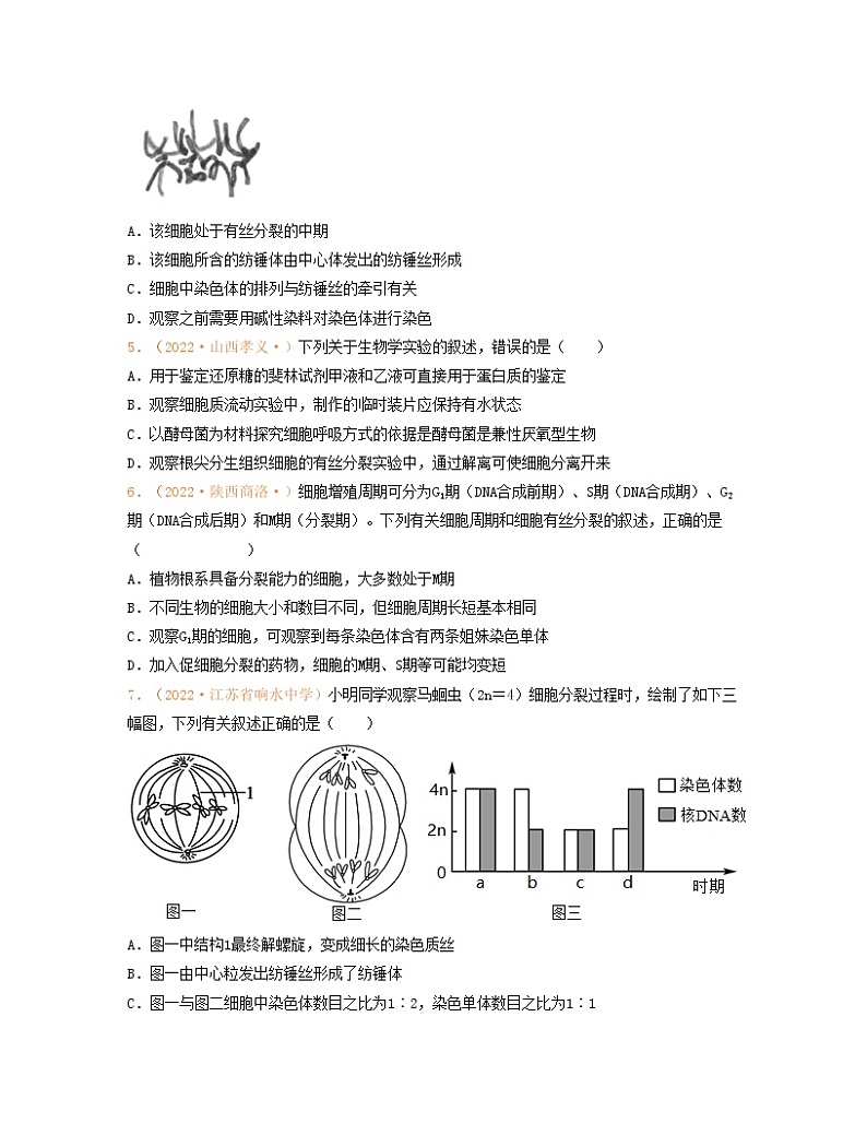 第四单元 细胞的生命历程（原卷版）练习第2页