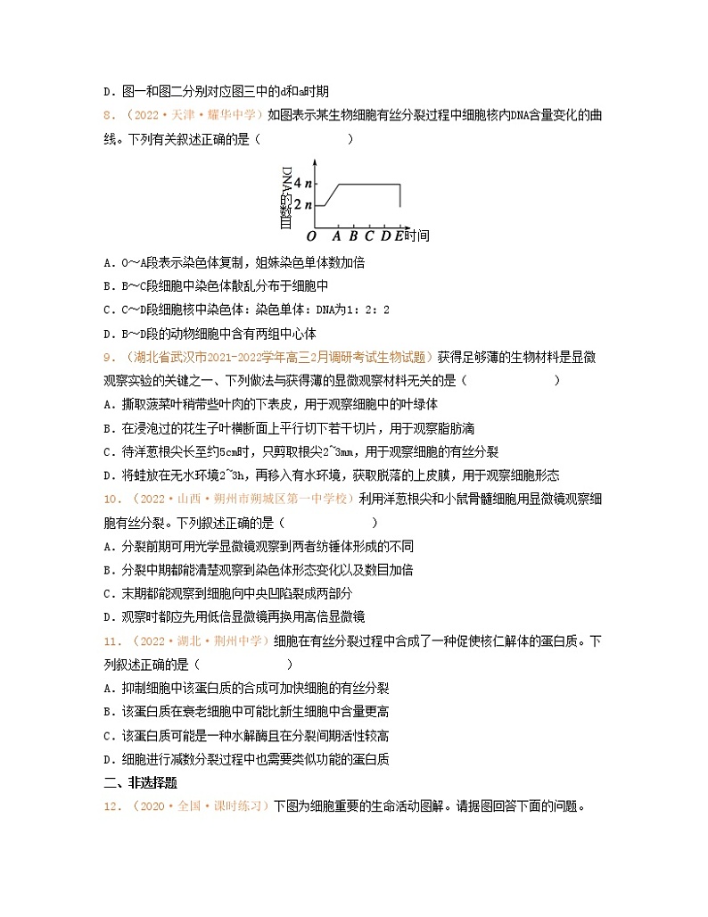 第四单元 细胞的生命历程（原卷版）练习第3页