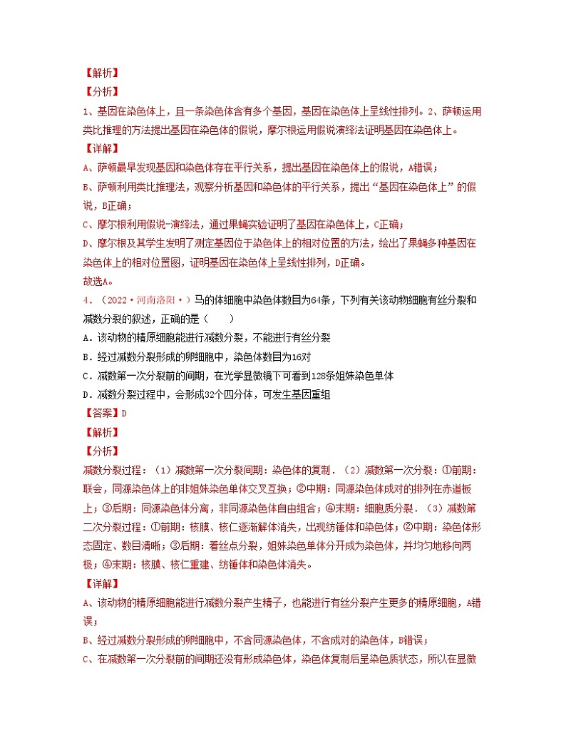 第五单元 基因和染色体的关系（解析版）练习第3页