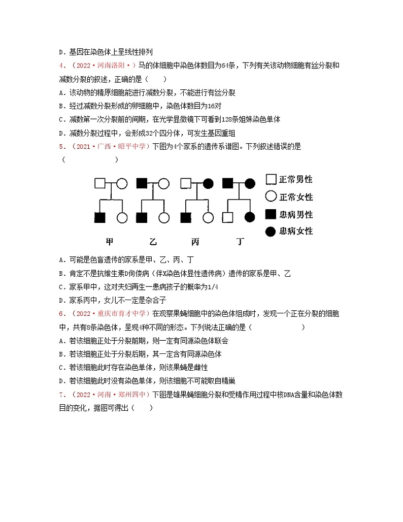 第五单元 基因和染色体的关系（原卷版）练习第2页