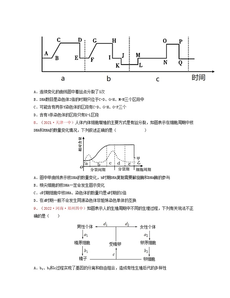 第五单元 基因和染色体的关系（原卷版）练习第3页