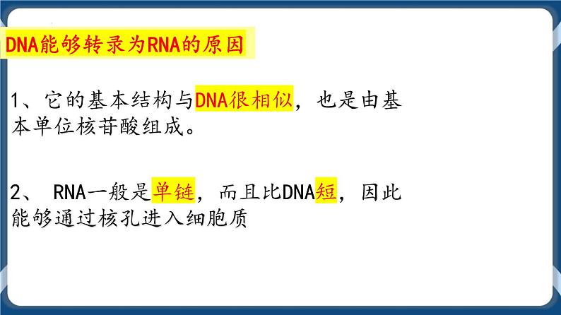 考点01 基因指导蛋白质的合成 课件第6页