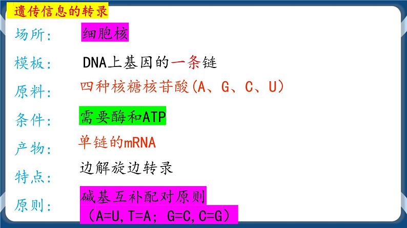 考点01 基因指导蛋白质的合成 课件第8页