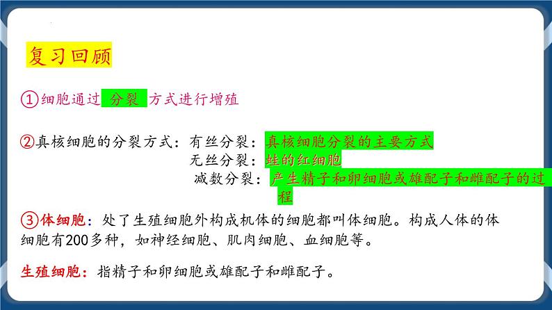 考点01 减数分裂与受精作用 课件第2页