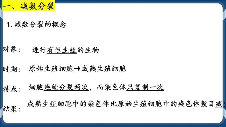 考点01 减数分裂与受精作用 课件第3页