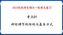 考点01 神经调节的结构与基本方式 课件