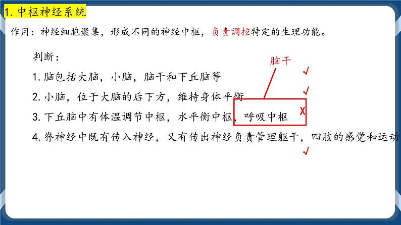 考点01 神经调节的结构与基本方式 课件第4页