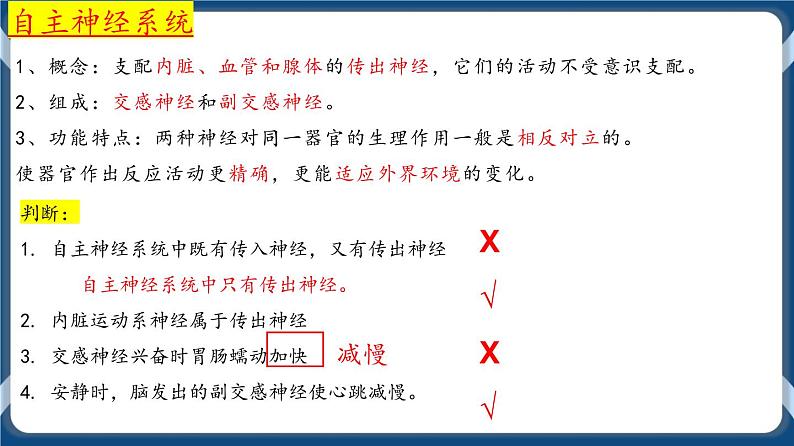 考点01 神经调节的结构与基本方式 课件第5页