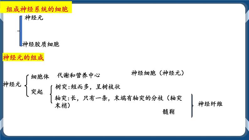 考点01 神经调节的结构与基本方式 课件第6页