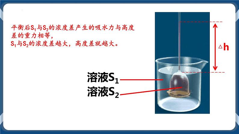 考点01 细胞的物质输入和输出 课件第7页