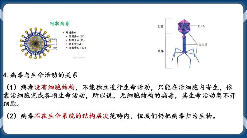 考点01 走近细胞 课件第7页