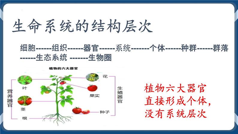 考点01 走近细胞 课件第8页